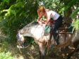 horse riding
